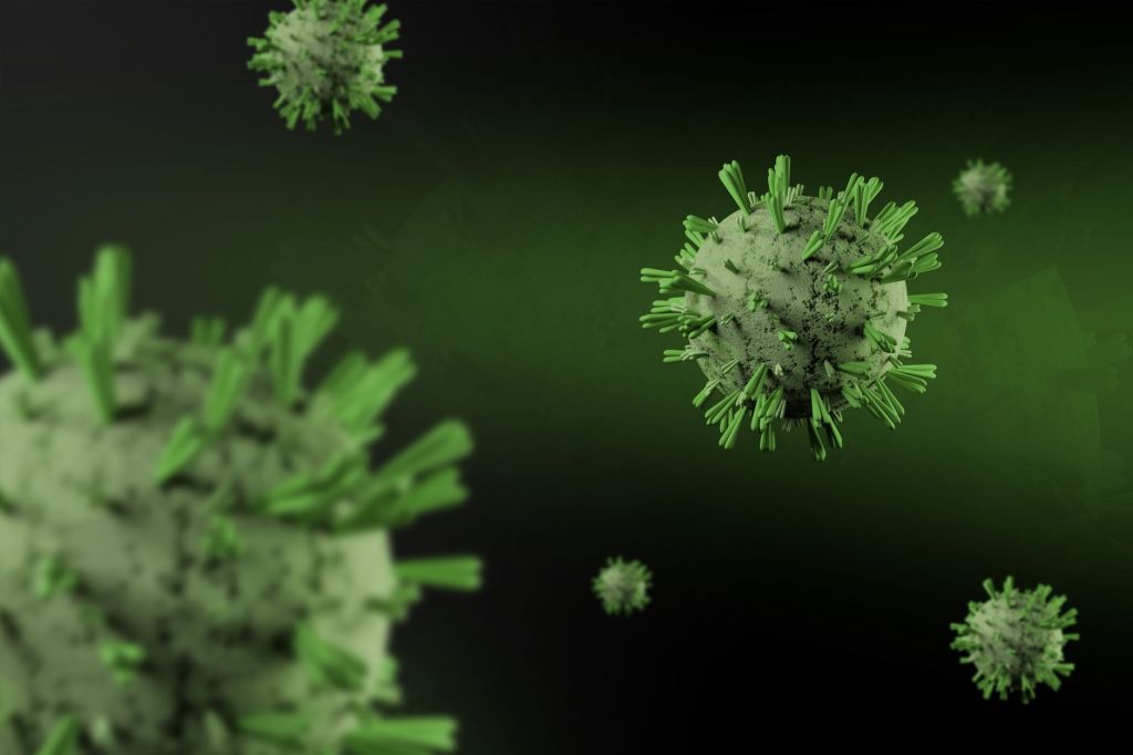 Vilka virus kan orsaka en verkligt farlig&nbsp;pandemi?